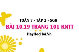 Bài 10.19 trang 101 Toán 7 Tập 2 Kết nối tri thức: Tính thể tích đất đào mương
